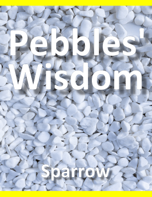Pebbles Wisdom Book Cover