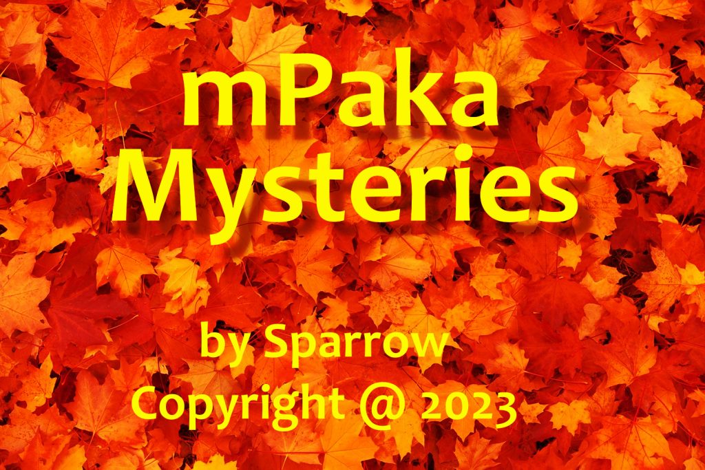 mPaka Mysteries by Sparrow Cover